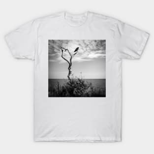 the lone raven is sitting in the dead tree T-Shirt